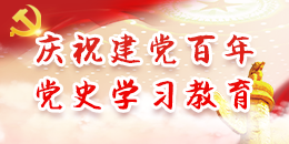 庆祝建党百年党史学习教育
