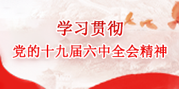 学习贯彻十九届六中全会精神